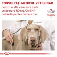 ROYAL CANIN VD Gastrointestinal Low Fat, XS-XL, dietă veterinară, hrană uscată câini, sistem digestiv, 12kg - 8