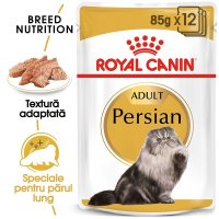 Royal Canin Persian Adult hrana umeda pisica (pate), 12 x 85 g - 1