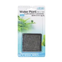 ISTA - Suport ceramic pentru cultivarea plantelor - 5x5 cm - 1