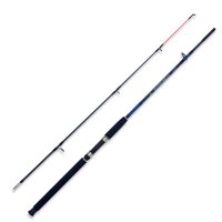 Lanseta Lineaeffe Caspian Pro Rod 2.70m, 100-250g, 2 tronsoane - 1