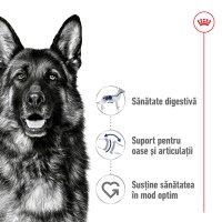 ROYAL CANIN Maxi Adult, hrană uscată câini, 15kg - 3