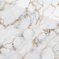 Gresie Portelanata Marble Gold Insert 60 x 120 cm pentru Interior si Exterior - 1
