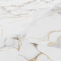 Gresie Portelanata Marble Gold Insert 60 x 120 cm pentru Interior si Exterior - 4