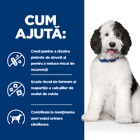 HILLS Prescription Diet c/d Pui pentru Câini, Conservă Umidă 370g - Dietă Veterinară pentru Sănătatea Sistemului Urinar - 5