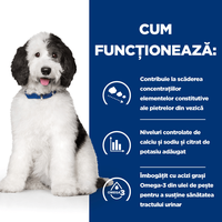 HILLS Prescription Diet c/d Pui pentru Câini, Conservă Umidă 370g - Dietă Veterinară pentru Sănătatea Sistemului Urinar - 8