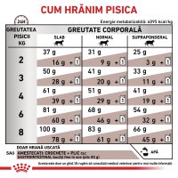 ROYAL CANIN VD Gastrointestinal, dietă veterinară, hrană uscată pisici, sistem digestiv, 4kg - 6
