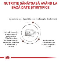 ROYAL CANIN VD Gastrointestinal, dietă veterinară, hrană uscată pisici, sistem digestiv, 4kg - 7