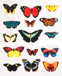 Tatuaj Decorativ pentru Unghii STZ-1005 - Everin.ro - 1