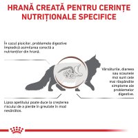 ROYAL CANIN VD Gastrointestinal, hrana uscata pentru pisici, 400g, dieta veterinara pentru sistemul digestiv - 3