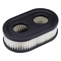 Filtru Aer Briggs - Stratton Quantum - 1