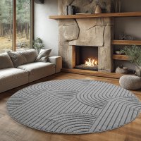 Covor rotund Helix V2 Argintiu 160x160 cm - 1