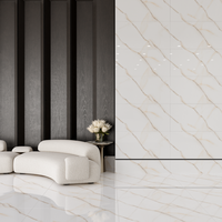 Gresie exterior / interior portelanata Optima Onyx  60 x 120 cm  lucioasa  rectificata  tip marmura - 2