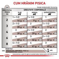 ROYAL CANIN VD Gastrointestinal, hrană umedă pentru pisici, dietă veterinară pentru sistem digestiv, bax de 12 plicuri a 85g - 6