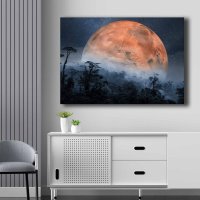 Tablou 70100NISC Portocaliu 70x100 cm - 1