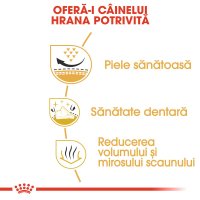 ROYAL CANIN Shih Tzu Adult, hrană uscată câini, 3kg - 5