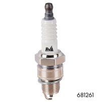 Pachet Complet Drujba Benzina 8.5cp MOTOYAMA JAPAN CMP1625 - 2