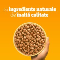 PEDIGREE Junior M-XL Pasăre si Legume 500g - Hrană Uscată pentru Câini Tineri - 4