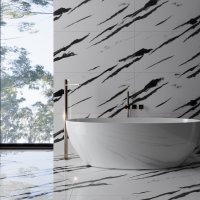 Gresie portelanata rectificata Black Panda Endless  60X120  lucioasa - 4