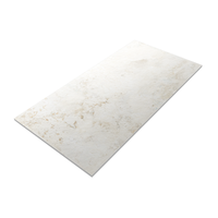 Gresie portelanata antiderapanta Patria Sand 60 x 120 cm mata cu aspect ciment pentru interior si exterior - 5