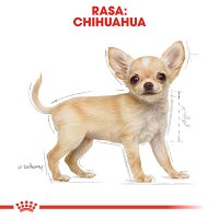 ROYAL CANIN Chihuahua Puppy, hrana uscata pentru caini junior, 1.5kg - 5