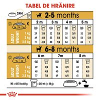 ROYAL CANIN Chihuahua Puppy, hrana uscata pentru caini junior, 1.5kg - 8