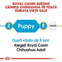ROYAL CANIN Chihuahua Puppy, hrana uscata pentru caini junior, 1.5kg - 9