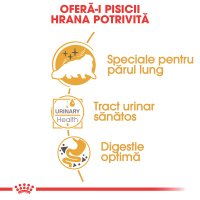 ROYAL CANIN Persian Adult, hrană umedă pisici, (pate), 85g - 4