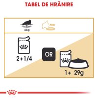 ROYAL CANIN Persian Adult, hrană umedă pisici, (pate), 85g - 7