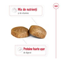 ROYAL CANIN Giant Adult, hrană uscată câini, 15kg - 5