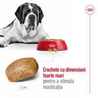 ROYAL CANIN Giant Adult, hrană uscată câini, 15kg - 6