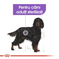 ROYAL CANIN Maxi Sterilised Adult hrană uscată câini sterilizați, 12kg - 4