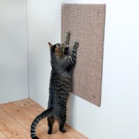 Sisal XL 50x70 cm Bej 43166 - 1