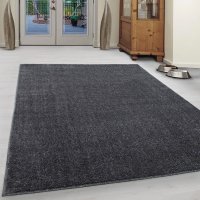 Covor Ata Gri 200x290 cm - 1
