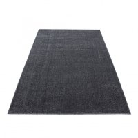 Covor Ata Gri 200x290 cm - 2