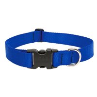 Zgarda Nylon Caini Blue Click 10 mm x 20-35 cm - 1