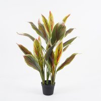 Planta decorativa Cycas Verde cu ghiveci - 55x55x80 cm - 1