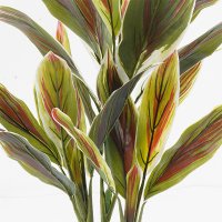 Planta decorativa Cycas Verde cu ghiveci - 55x55x80 cm - 2