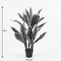 Planta decorativa Cycas Verde cu ghiveci - 55x55x80 cm - 4