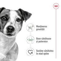 ROYAL CANIN Mini Adult, hrană uscată câini, 2kg - 3