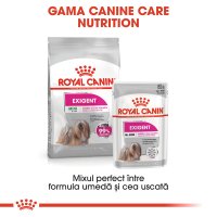 ROYAL CANIN Exigent Adult hrană umedă câini apetit capricios (pate), 85g - 9