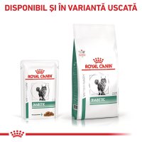 ROYAL CANIN VD Diabetic - Plicuri Umiditate pentru Pisici cu Diabet, 85g x 12 Bucati - 8