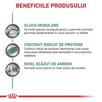 ROYAL CANIN VD Diabetic - Plicuri Umiditate pentru Pisici cu Diabet, 85g x 12 Bucati - 4