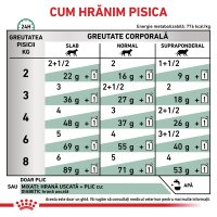 ROYAL CANIN VD Diabetic - Plicuri Umiditate pentru Pisici cu Diabet, 85g x 12 Bucati - 6