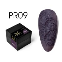 Everin Plaster Color Gel PR09 – Gel color texturat violet închis, efect beton artistic (5g) - 1
