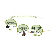 UNICA Classe Regular Maxi, L-XL, Pui, hrană uscată câini, 12kg - 4