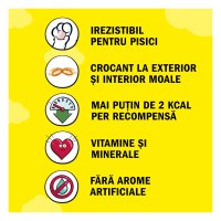 DREAMIES Pui pentru Pisici - Punguță Recompense 60g - 3