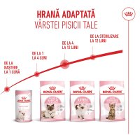 PROMO ROYAL CANIN Kitten, hrană uscată pisici junior, 400g, 60% REDUCERE la al Doilea Produs - 12