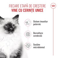 PROMO ROYAL CANIN Kitten, hrană uscată pisici junior, 400g, 60% REDUCERE la al Doilea Produs - 5