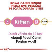ROYAL CANIN Persian Kitten, hrană uscată pisici junior, 2kg - 8