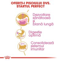 ROYAL CANIN Persian Kitten, hrană uscată pisici junior, 2kg - 5